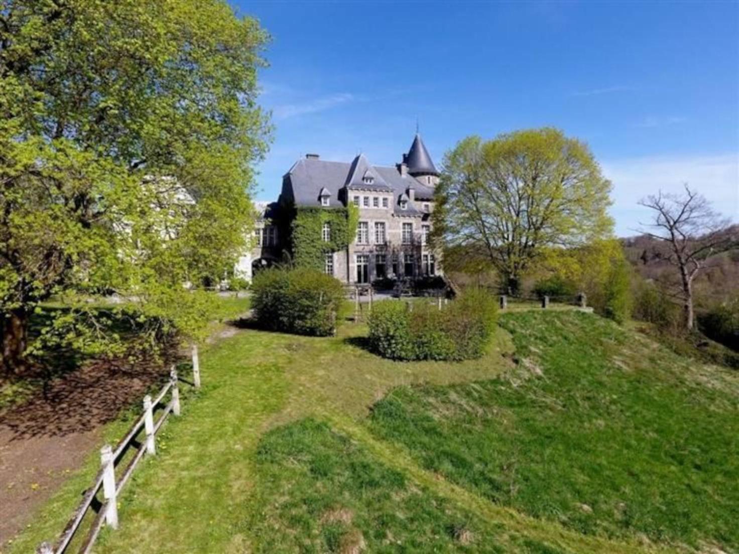 Le Petit Chateau De Blier Villa Érezée Exterior foto